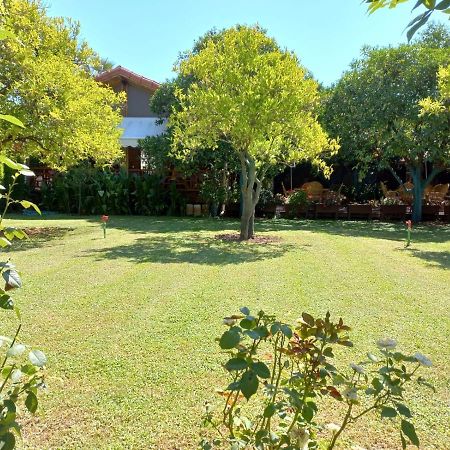 Bahce Villa Çıralı Luaran gambar