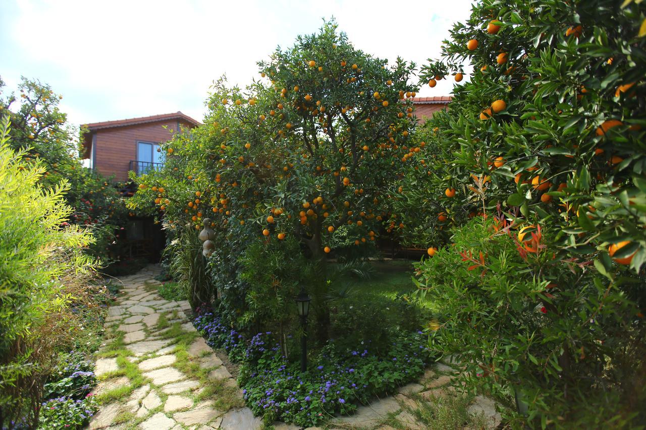 Bahce Villa Çıralı Luaran gambar