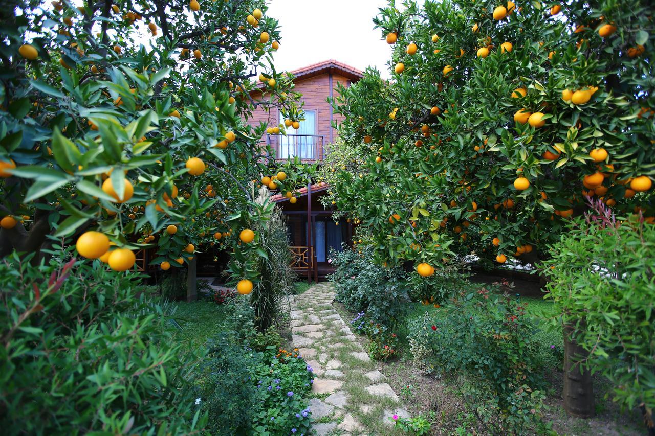 Bahce Villa Çıralı Luaran gambar