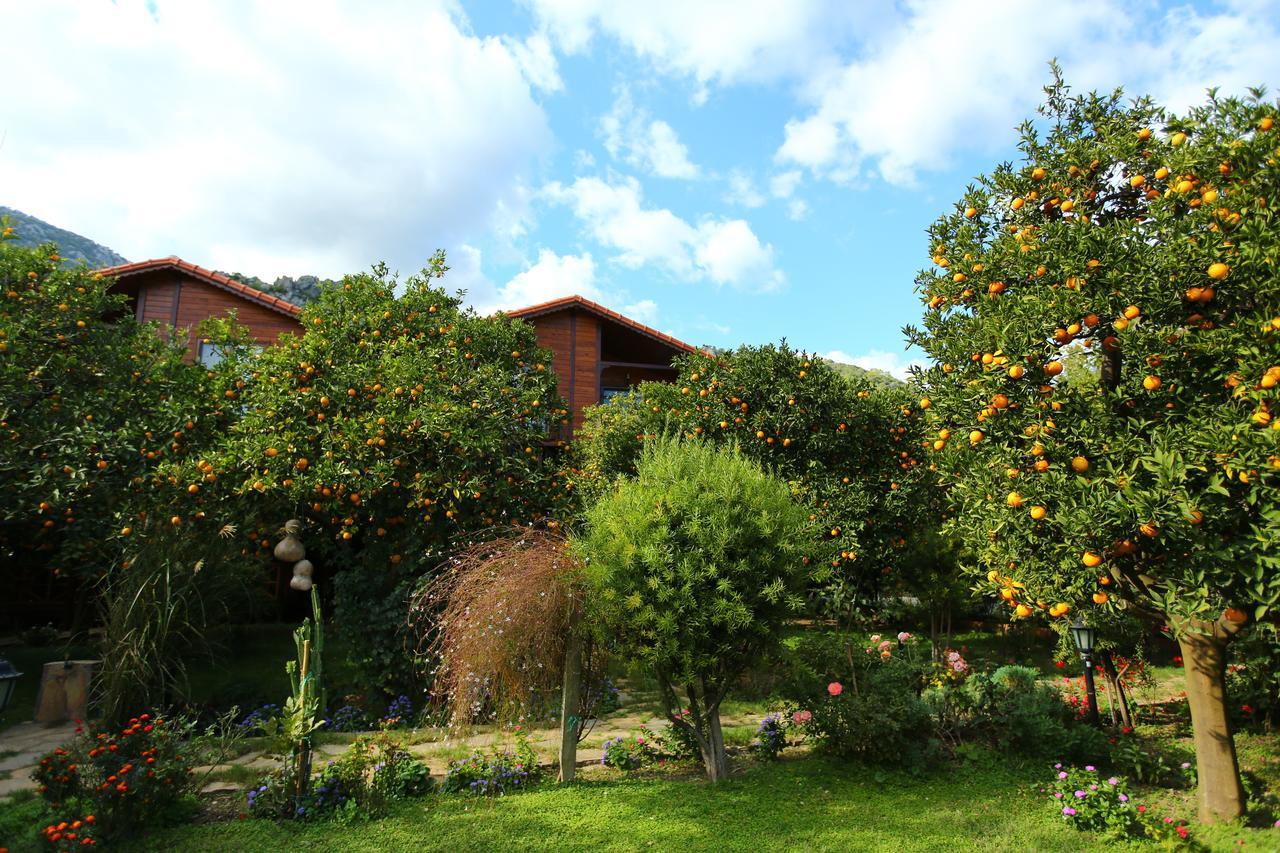 Bahce Villa Çıralı Luaran gambar